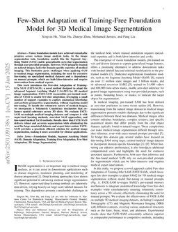 Few-Shot Adaptation of Training-Free Foundation Model for 3D Medical Image Segmentation