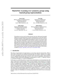 MatrixNet: Learning over symmetry groups using learned group representations