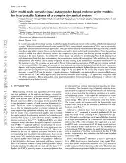 Slim multi-scale convolutional autoencoder-based reduced-order models for interpretable features of a complex dynamical system