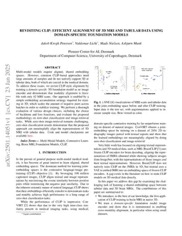 Revisiting CLIP: Efficient Alignment of 3D MRI and Tabular Data using Domain-Specific Foundation Models