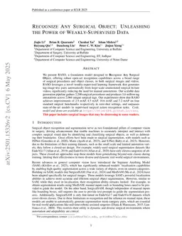Recognize Any Surgical Object: Unleashing the Power of Weakly-Supervised Data