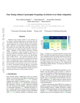 Fine Tuning without Catastrophic Forgetting via Selective Low Rank Adaptation