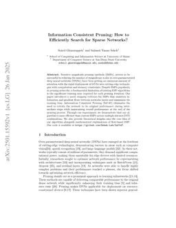 Information Consistent Pruning: How to Efficiently Search for Sparse Networks?
