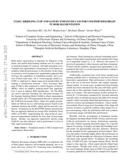 CLISC: Bridging clip and sam by enhanced cam for unsupervised brain tumor segmentation