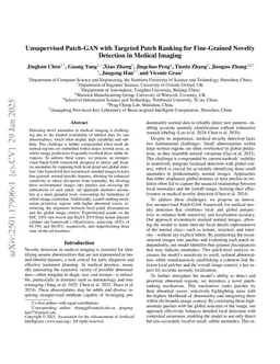 Unsupervised Patch-GAN with Targeted Patch Ranking for Fine-Grained Novelty Detection in Medical Imaging