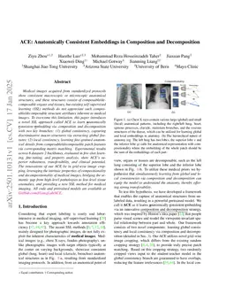 ACE: Anatomically Consistent Embeddings in Composition and Decomposition