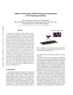 Adaptive Clustering for Efficient Phenotype Segmentation of UAV Hyperspectral Data