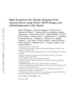 High Resolution Tree Height Mapping of the Amazon Forest using Planet NICFI Images and LiDAR-Informed U-Net Model