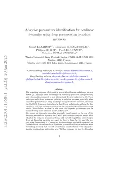 Adaptive parameters identification for nonlinear dynamics using deep permutation invariant networks