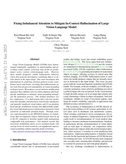 PAINT: Paying Attention to INformed Tokens to Mitigate Hallucination in Large Vision-Language Model