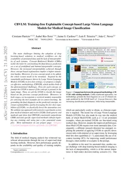CBVLM: Training-free Explainable Concept-based Large Vision Language Models for Medical Image Classification