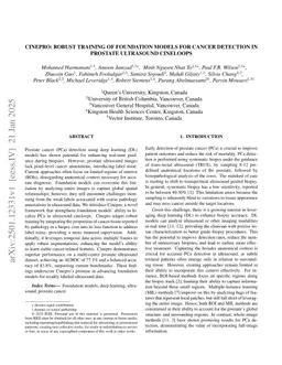 Cinepro: Robust Training of Foundation Models for Cancer Detection in Prostate Ultrasound Cineloops