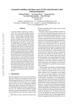 Automatic Labelling with Open-source LLMs using Dynamic Label Schema Integration