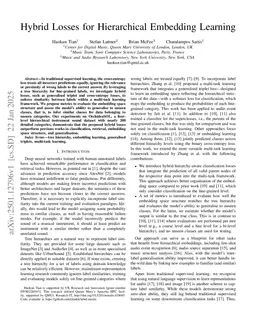 Hybrid Losses for Hierarchical Embedding Learning