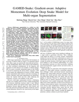 GAMED-Snake: Gradient-aware Adaptive Momentum Evolution Deep Snake Model for Multi-organ Segmentation