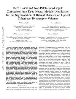 Patch-Based and Non-Patch-Based inputs Comparison into Deep Neural Models: Application for the Segmentation of Retinal Diseases on Optical Coherence Tomography Volumes