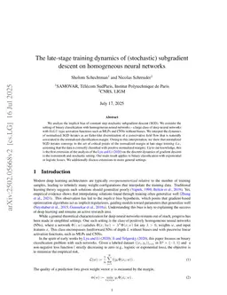 The late-stage training dynamics of (stochastic) subgradient descent on homogeneous neural networks