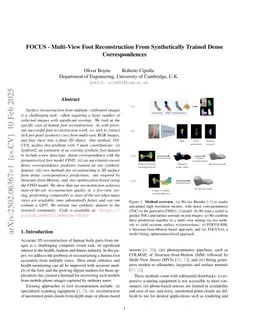 FOCUS - Multi-View Foot Reconstruction From Synthetically Trained Dense Correspondences