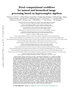 Novel computational workflows for natural and biomedical image processing based on hypercomplex algebras