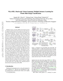ViLa-MIL: Dual-scale Vision-Language Multiple Instance Learning for Whole Slide Image Classification