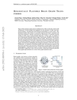 Biologically Plausible Brain Graph Transformer