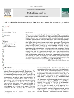 FrGNet: A fourier-guided weakly-supervised framework for nuclear instance segmentation