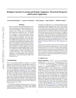 Bridging Contrastive Learning and Domain Adaptation: Theoretical Perspective and Practical Application