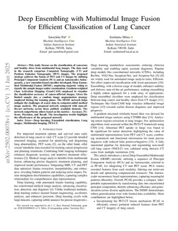 Deep Ensembling with Multimodal Image Fusion for Efficient Classification of Lung Cancer