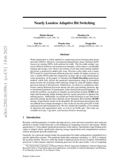 Nearly Lossless Adaptive Bit Switching