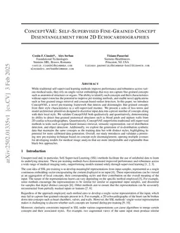 ConceptVAE: Self-Supervised Fine-Grained Concept Disentanglement from 2D Echocardiographies
