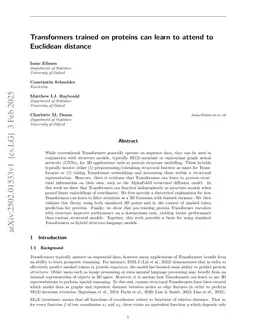 Transformers trained on proteins can learn to attend to Euclidean distance