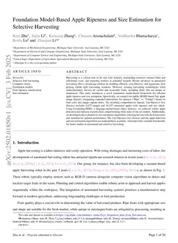 Foundation Model-Based Apple Ripeness and Size Estimation for Selective Harvesting