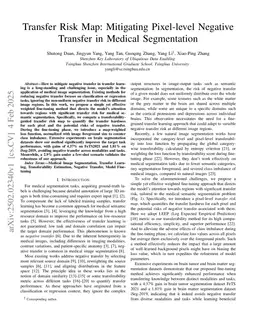 Transfer Risk Map: Mitigating Pixel-level Negative Transfer in Medical Segmentation
