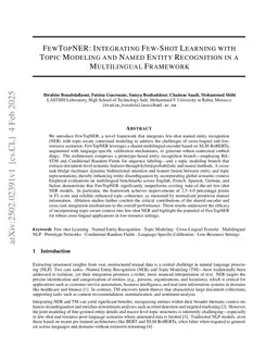 FewTopNER: Integrating Few-Shot Learning with Topic Modeling and Named Entity Recognition in a Multilingual Framework