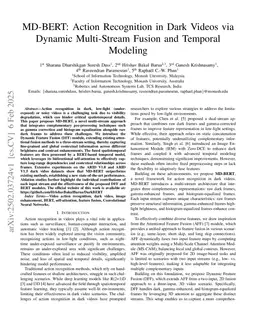 Seeing in the Dark: A Teacher-Student Framework for Dark Video Action Recognition via Knowledge Distillation and Contrastive Learning