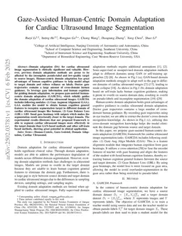 Gaze-Assisted Human-Centric Domain Adaptation for Cardiac Ultrasound Image Segmentation