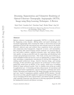 Denoising, segmentation and volumetric rendering of optical coherence tomography angiography (OCTA) image using deep learning techniques: a review