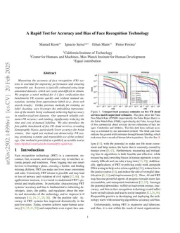 A Rapid Test for Accuracy and Bias of Face Recognition Technology