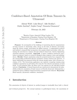 Confidence-Based Annotation Of Brain Tumours In Ultrasound