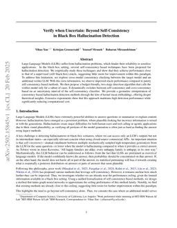 Verify when Uncertain: Beyond Self-Consistency in Black Box Hallucination Detection