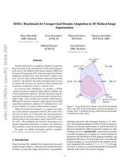 M3DA: Benchmark for Unsupervised Domain Adaptation in 3D Medical Image Segmentation