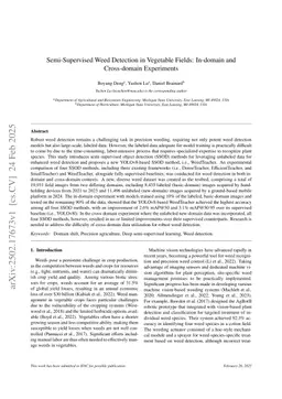 Semi-Supervised Weed Detection in Vegetable Fields: In-domain and Cross-domain Experiments