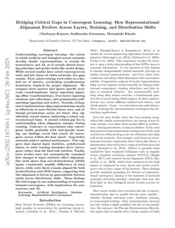 Bridging Critical Gaps in Convergent Learning: How Representational Alignment Evolves Across Layers, Training, and Distribution Shifts