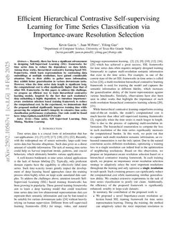 Efficient Hierarchical Contrastive Self-supervising Learning for Time Series Classification via Importance-aware Resolution Selection