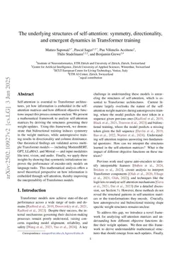 The underlying structures of self-attention: symmetry, directionality, and emergent dynamics in Transformer training