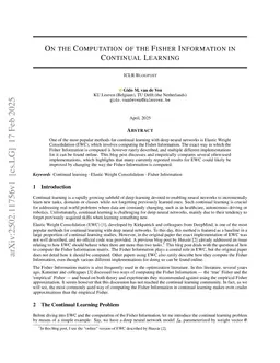 On the Computation of the Fisher Information in Continual Learning