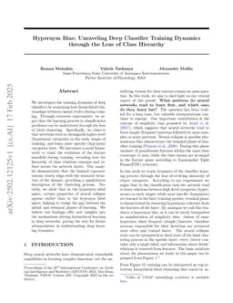 Hypernym Bias: Unraveling Deep Classifier Training Dynamics through the Lens of Class Hierarchy