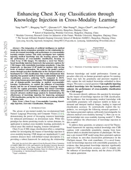 Enhancing Chest X-ray Classification through Knowledge Injection in Cross-Modality Learning