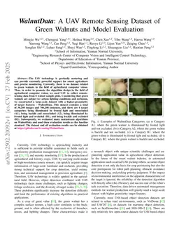 WalnutData: A UAV Remote Sensing Dataset of Green Walnuts and Model Evaluation