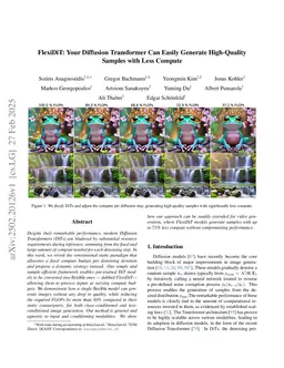 FlexiDiT: Your Diffusion Transformer Can Easily Generate High-Quality Samples with Less Compute